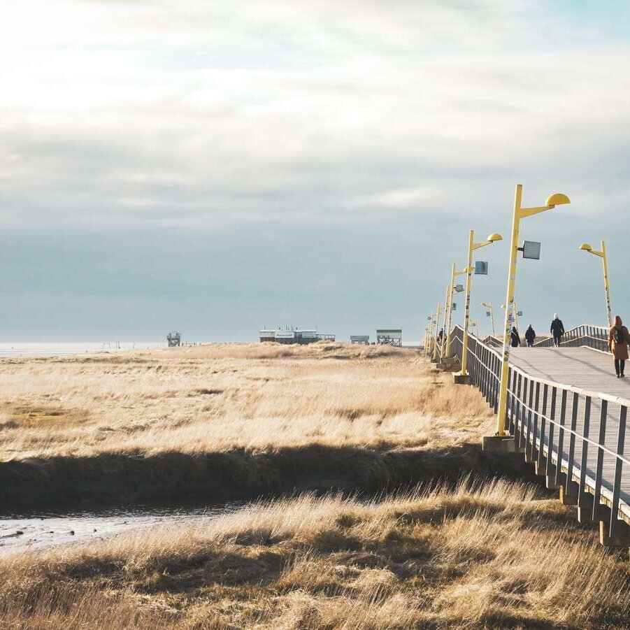 Seebrücke im Winter mit Salzwiesen und Dünen im Hintergrund 