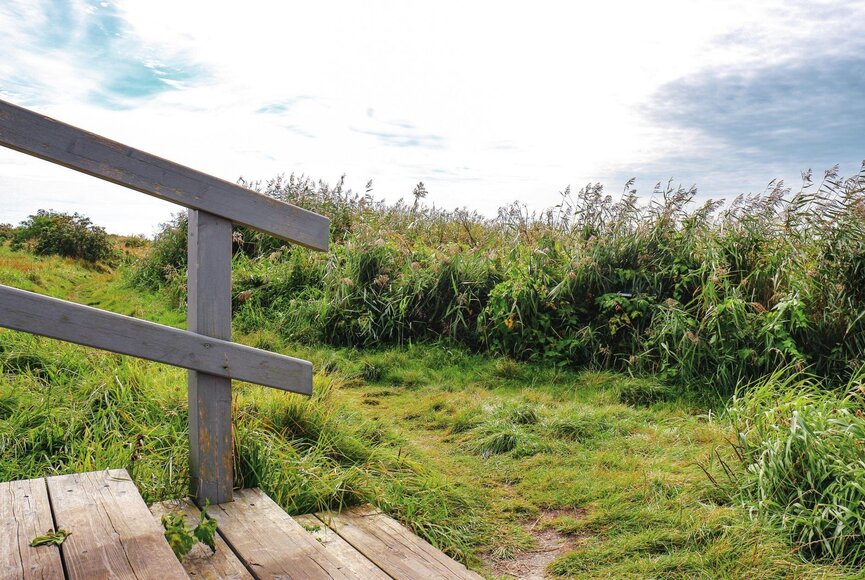 Treppe in den Naturerlebnisraum