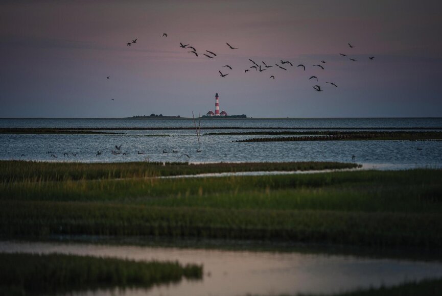 berühmter "Westerheverblick" aus dem Tümlauer Koog