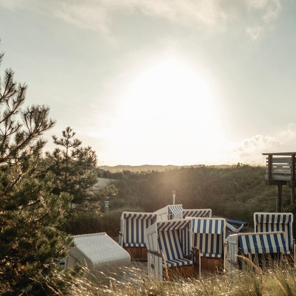 Strandkörbe vor dem Deich in der Sonne