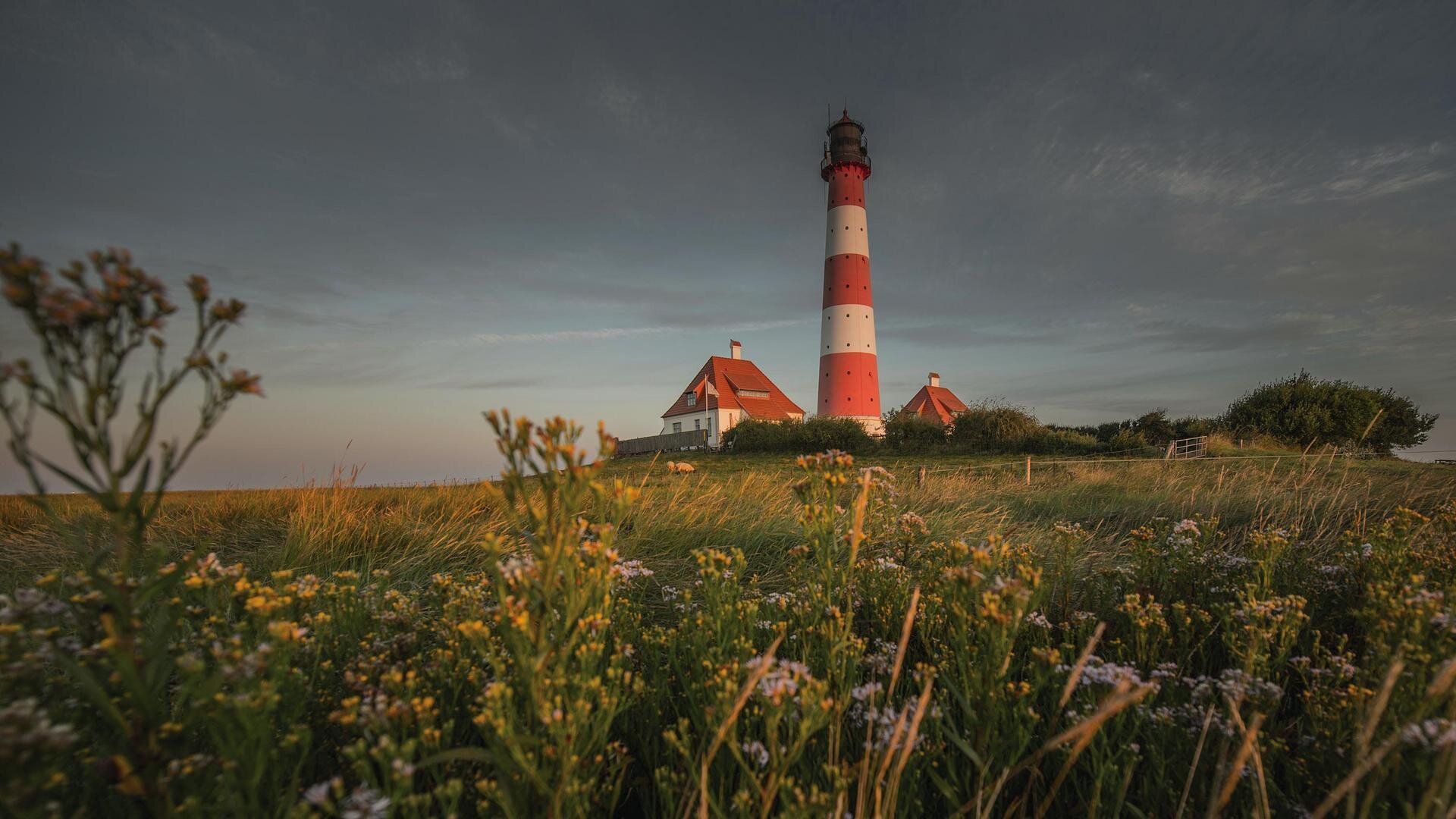 Blick auf den Westerhever Leuchtturm