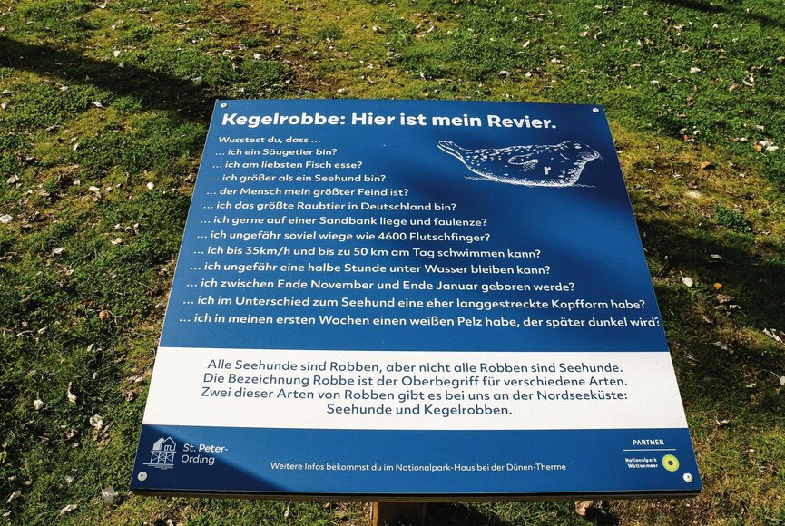 Infotafel zu Kegelrobben