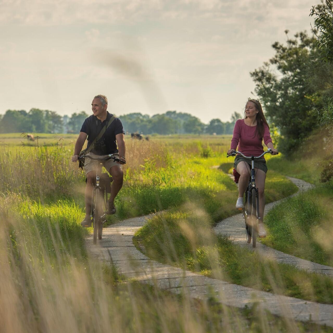 Fahrradtour im Feldweg