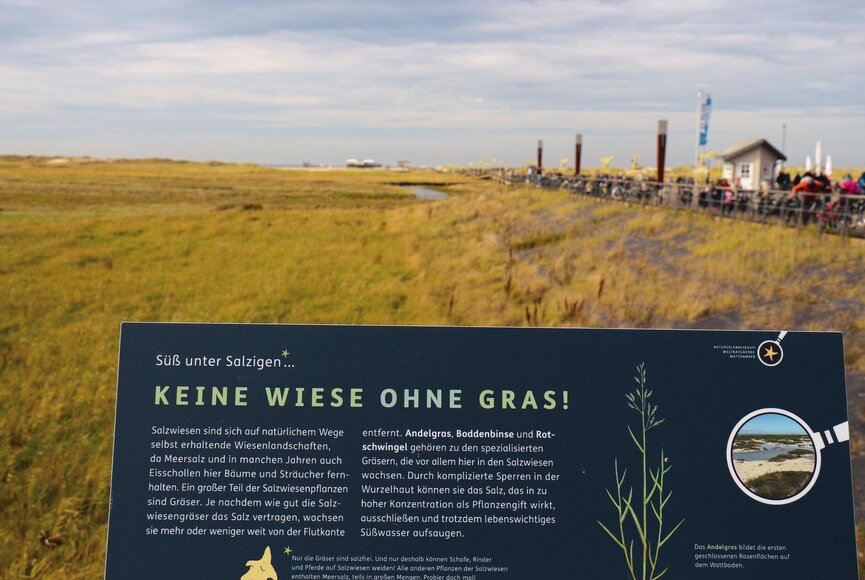 Infotafel mit Seebrücke im Hintergrund