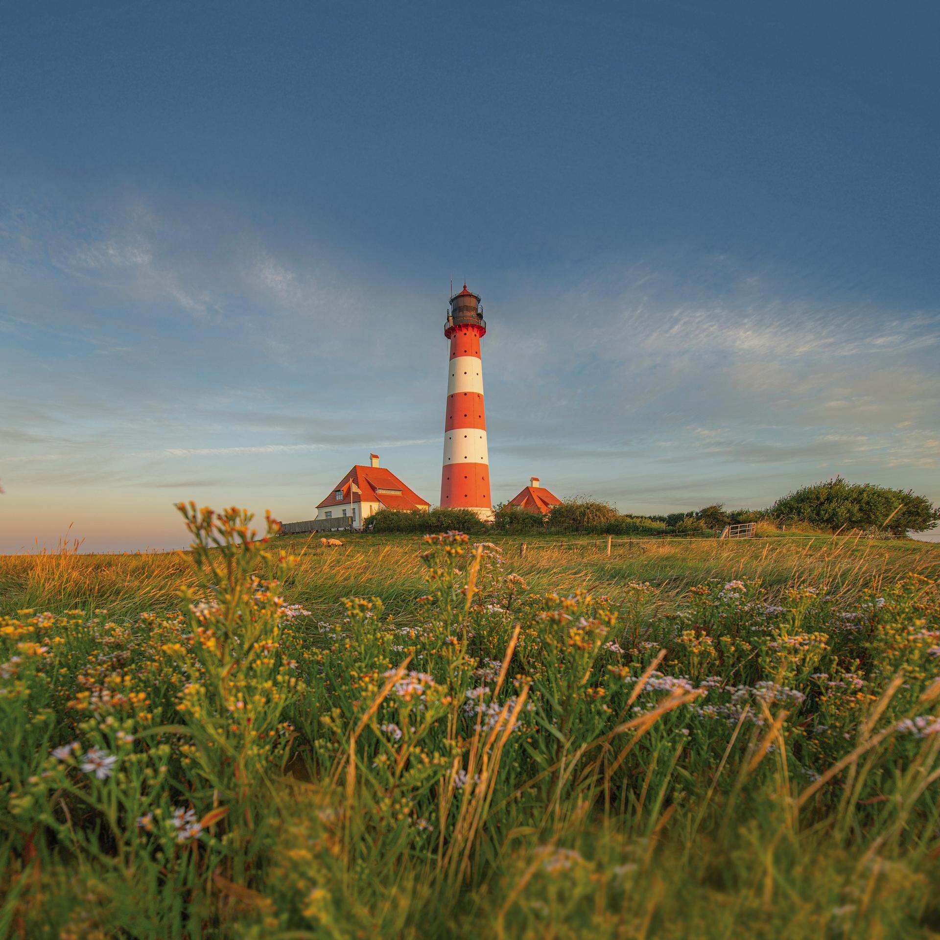 Blick auf den Westerhever Leuchtturm