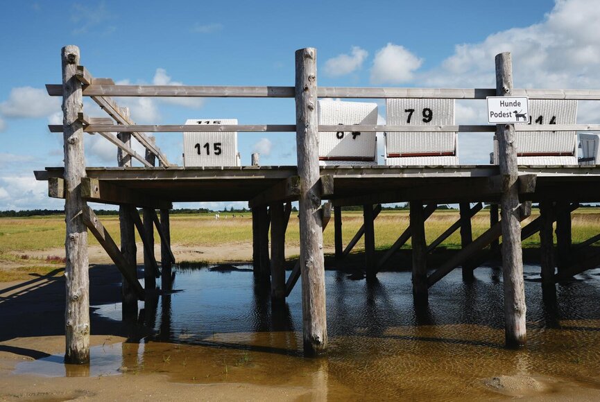 Hundestrandkorbpodest in Böhl
