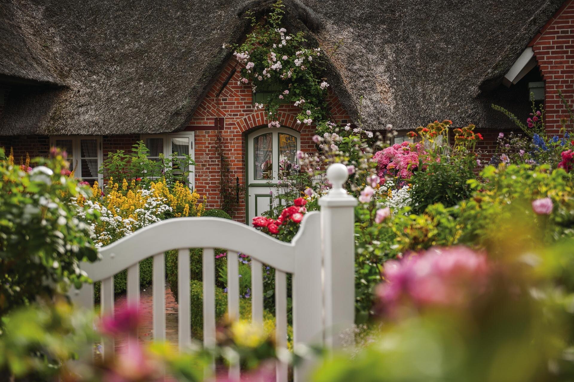 Garten eines Friesenhauses