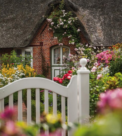 Reetdachhaus mit bunten Blumen im Vorgarten