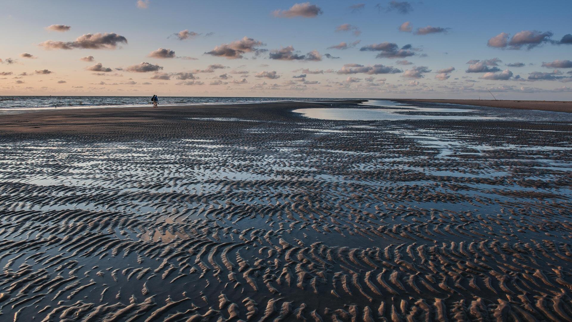 Wattstruktur am Strand beim Sonnenuntergang