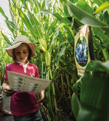 Familie im Maislabyrinth