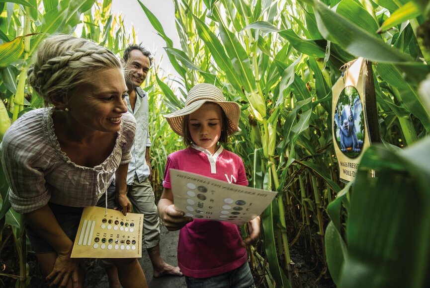 Familie rätselt im Maislabyrinth