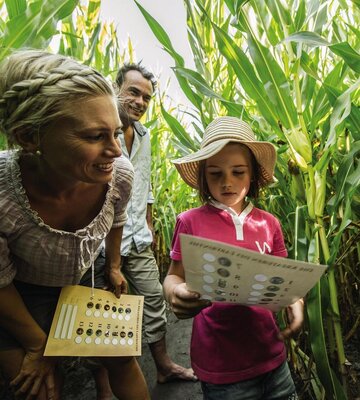 Familie im Maislabyrinth