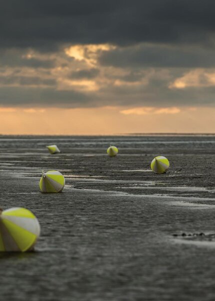 Bojen im Watt bei Ebbe