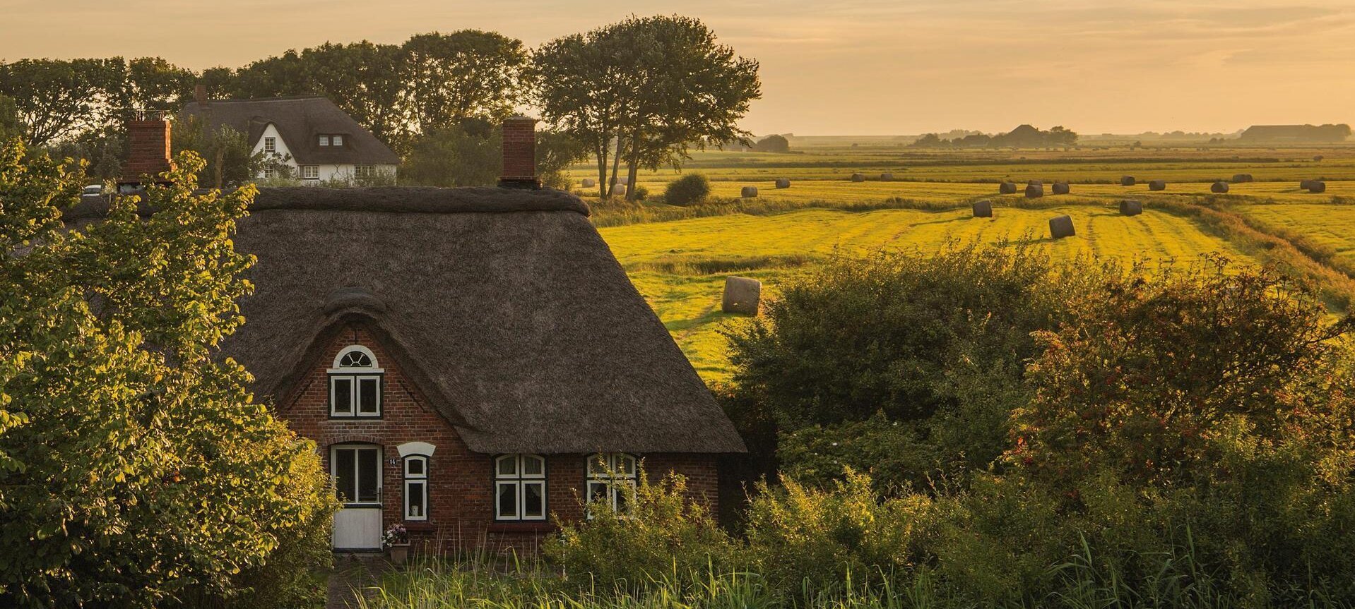 Reetdachhaus auf Eiderstedt