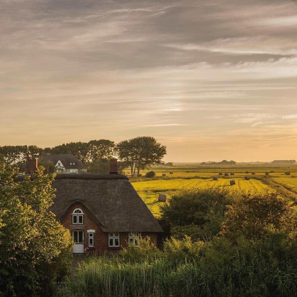 Reetdachhaus vor idyllischer Landschaft in Westerhever