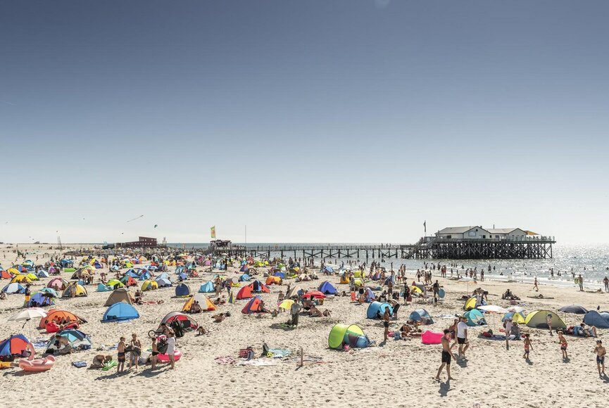Zahlreiche Windmuscheln liegen dicht an dicht auf dem warmen Sand 