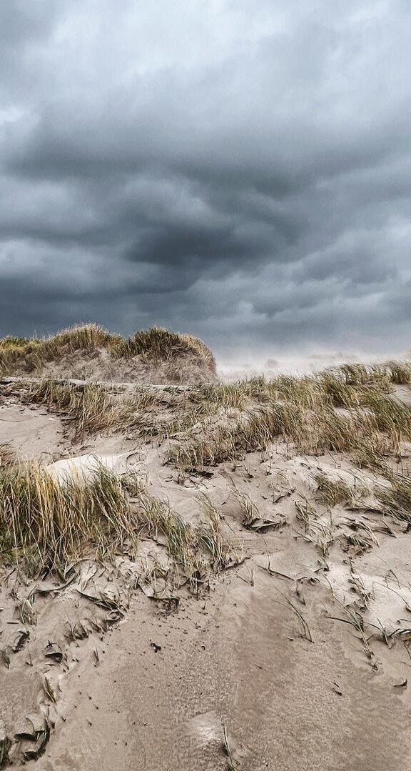 graue Wolken über der Dünenlandschaft