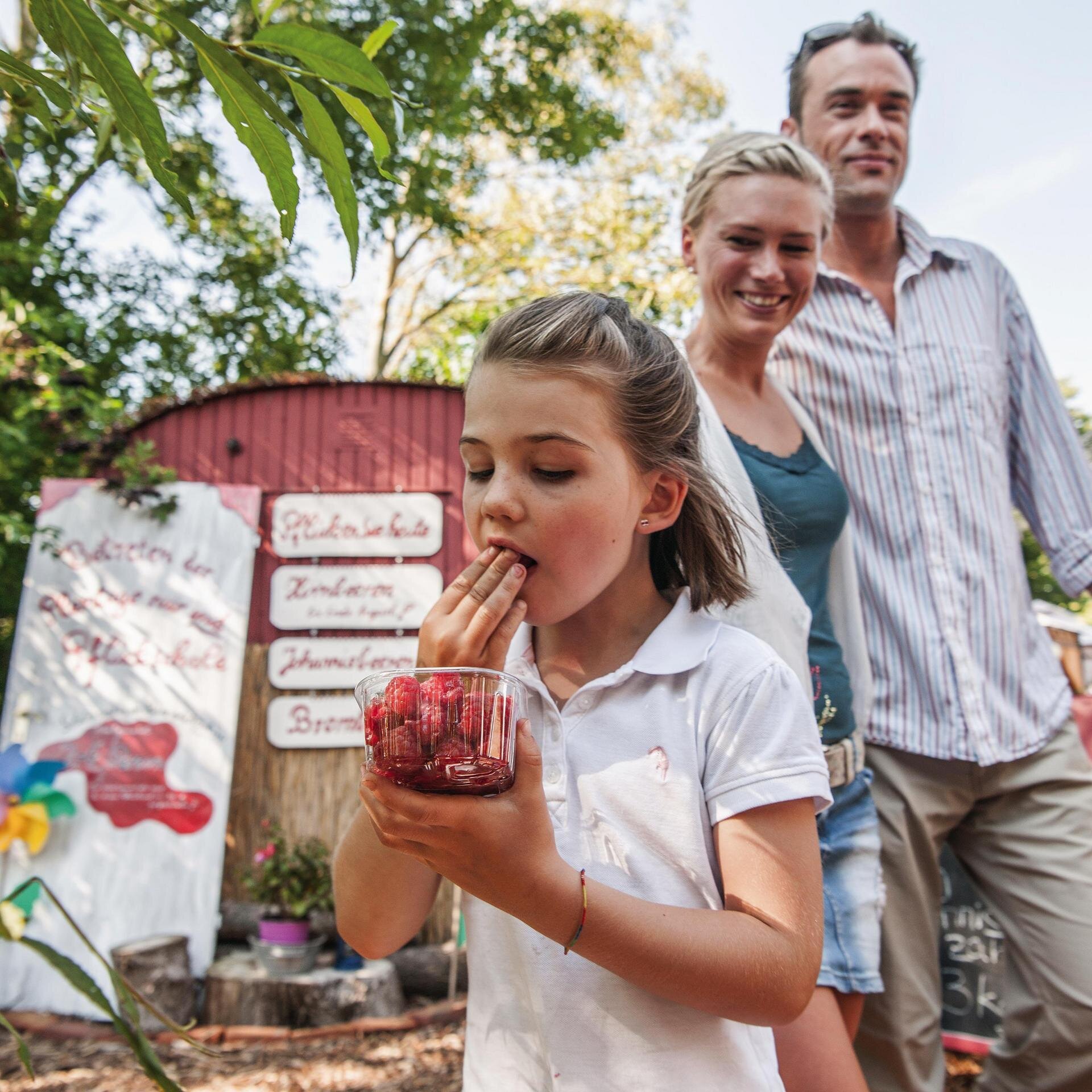Kind isst Himbeeren mit seinen Eltern auf dem Himbeerhof Jürgens