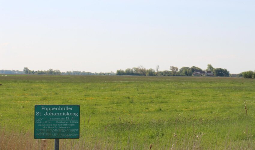 Infotafel vor grüner Wiese