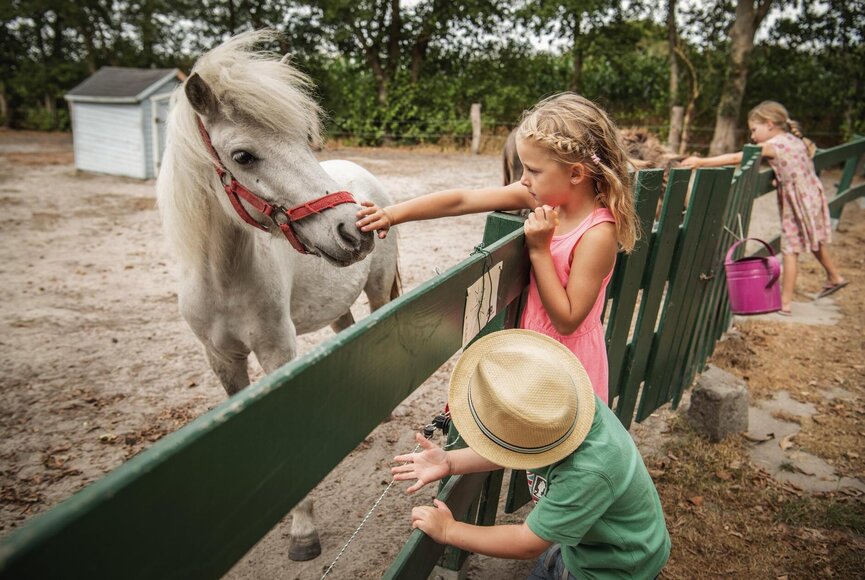 Kinder streicheln ein Pony auf dem Bauernhof