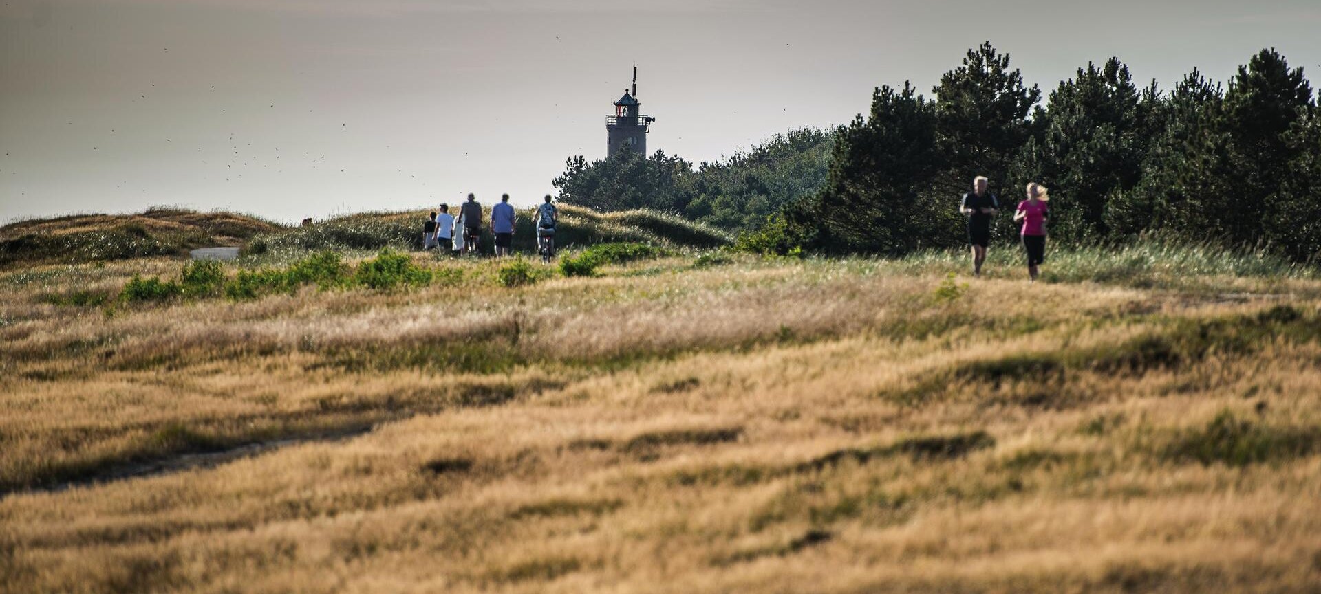 Deichlandschaft am Böhler Leuchtturm