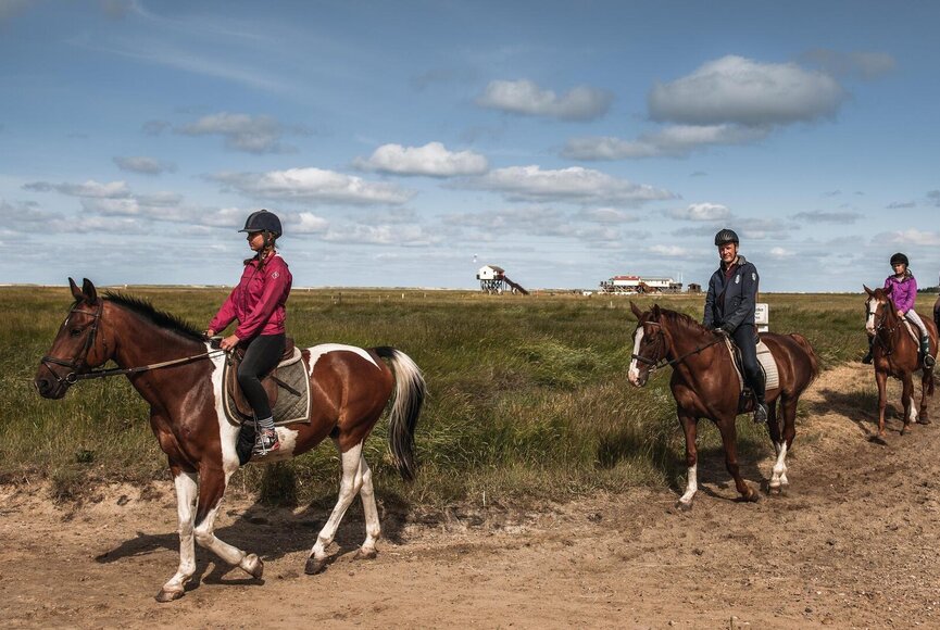 Reitgruppe auf dem Reitweg am Südstrand mit Pfahlbauten im Hintergrund
