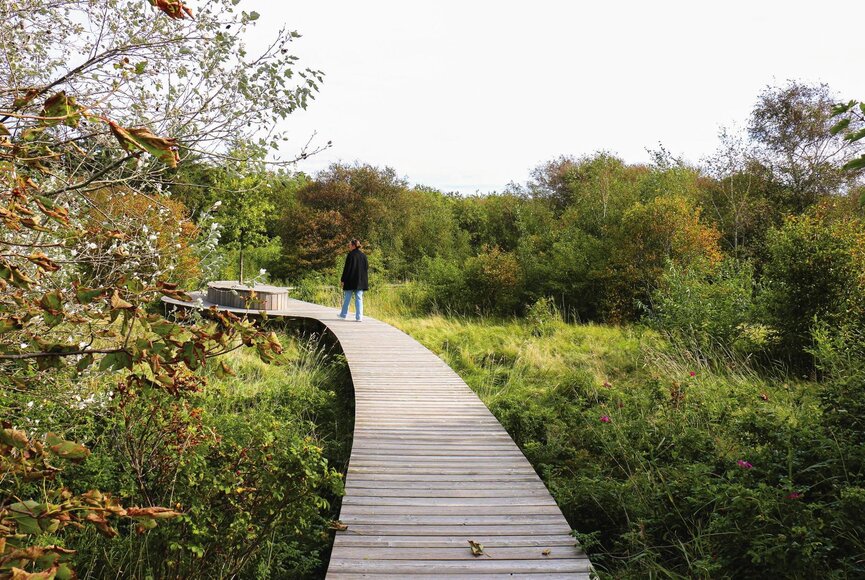 hölzerner Naturpfad im Grünen
