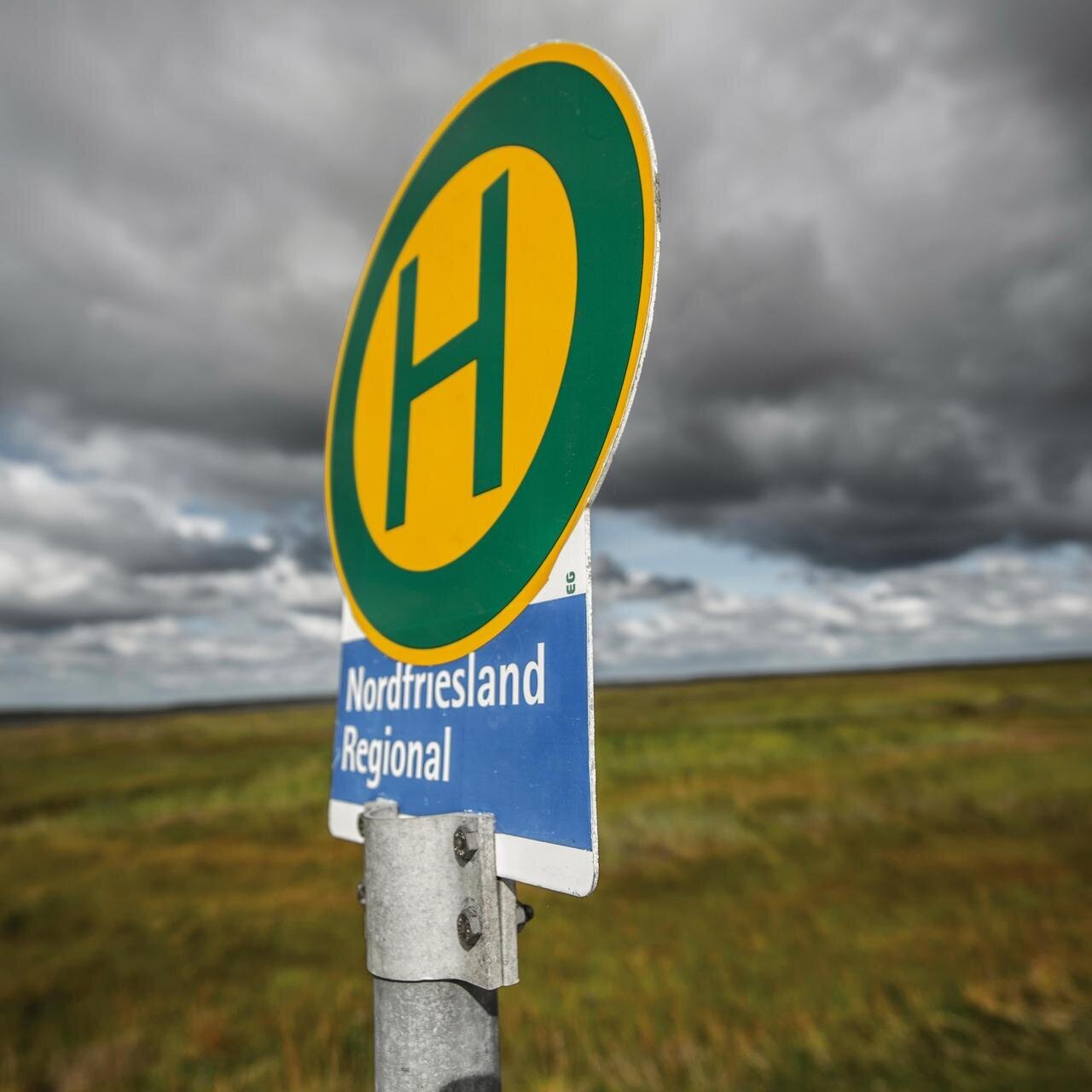 Schild einer Bushaltestelle vor einer grünen Wiese und grauem Himmel
