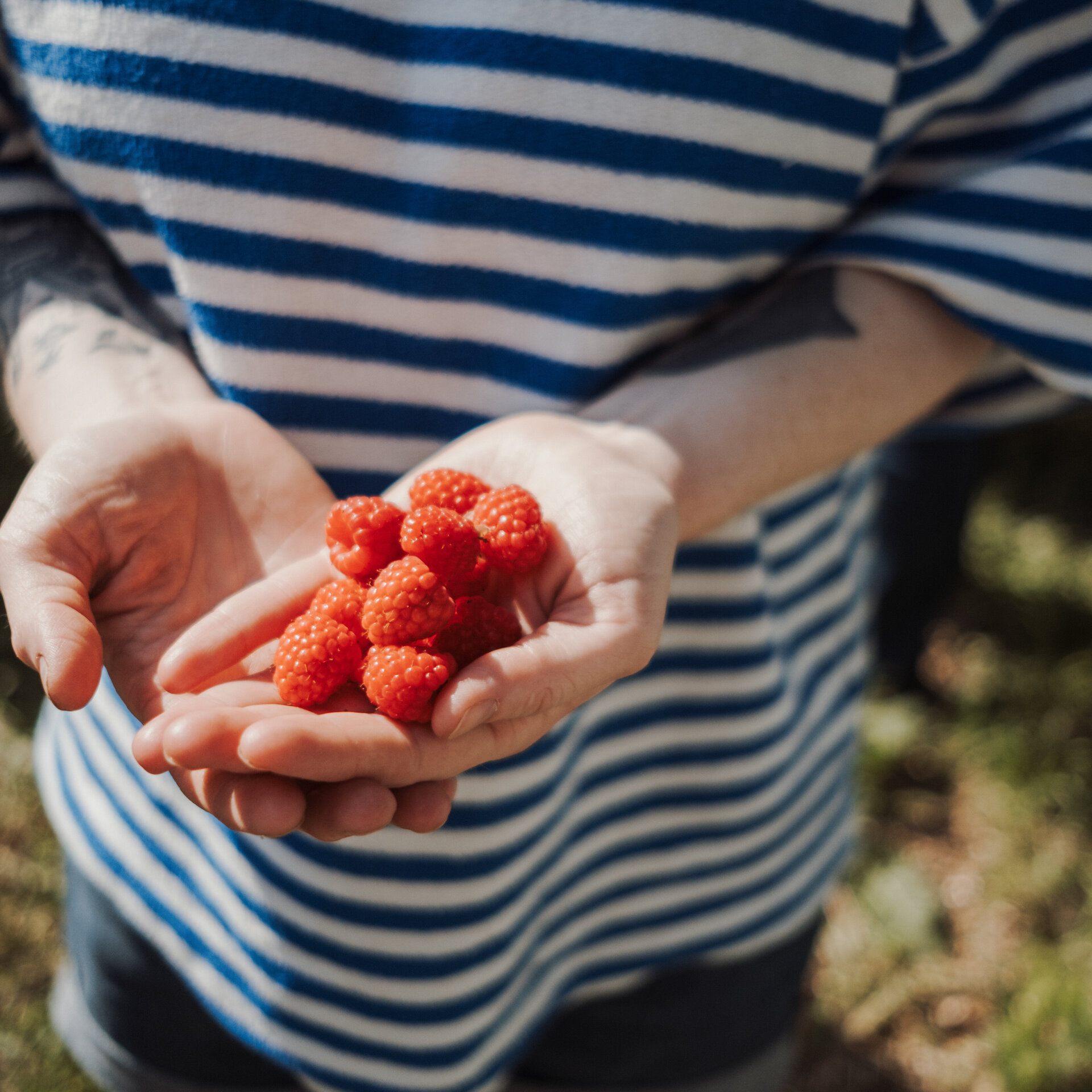Close-up of raspberries in a hand