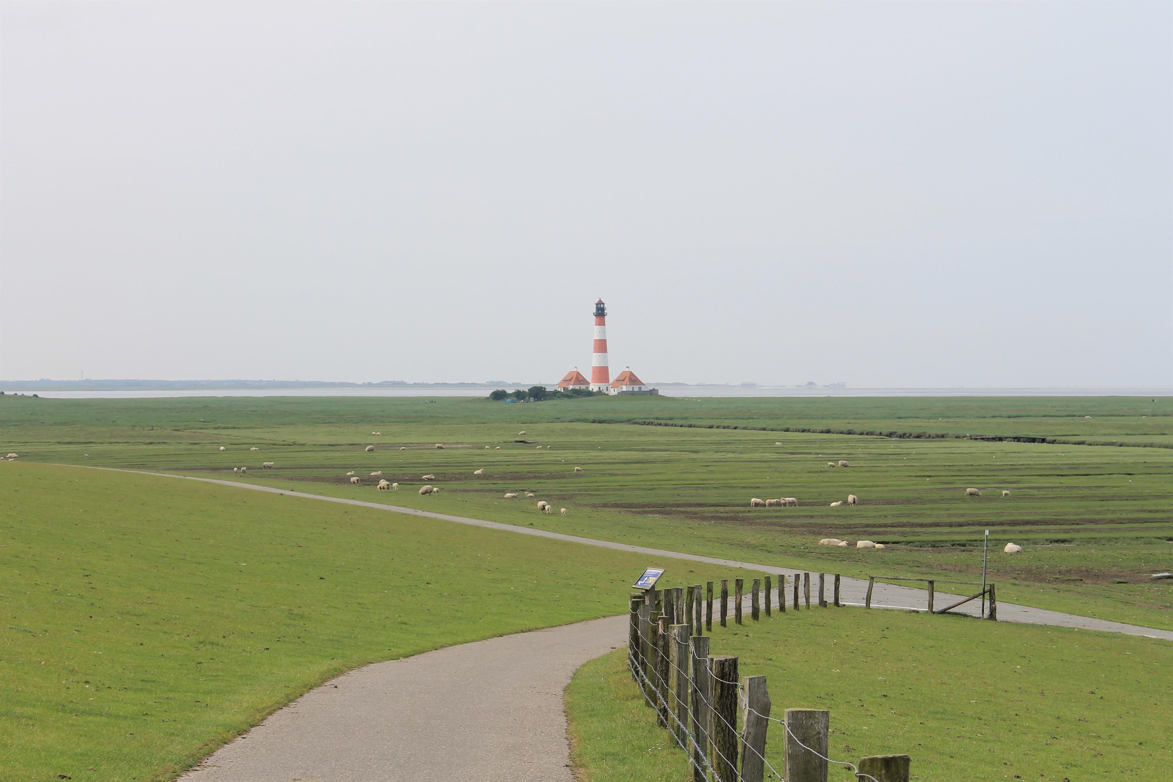 Westerhever Leuchtturm 4739