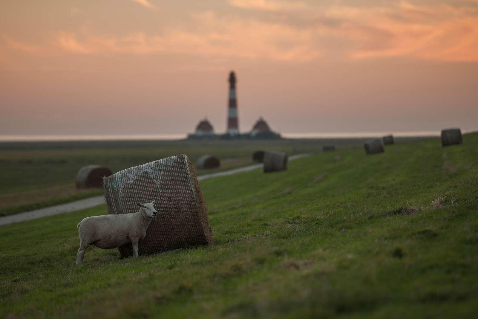 Leuchtturm in den Abendstunden