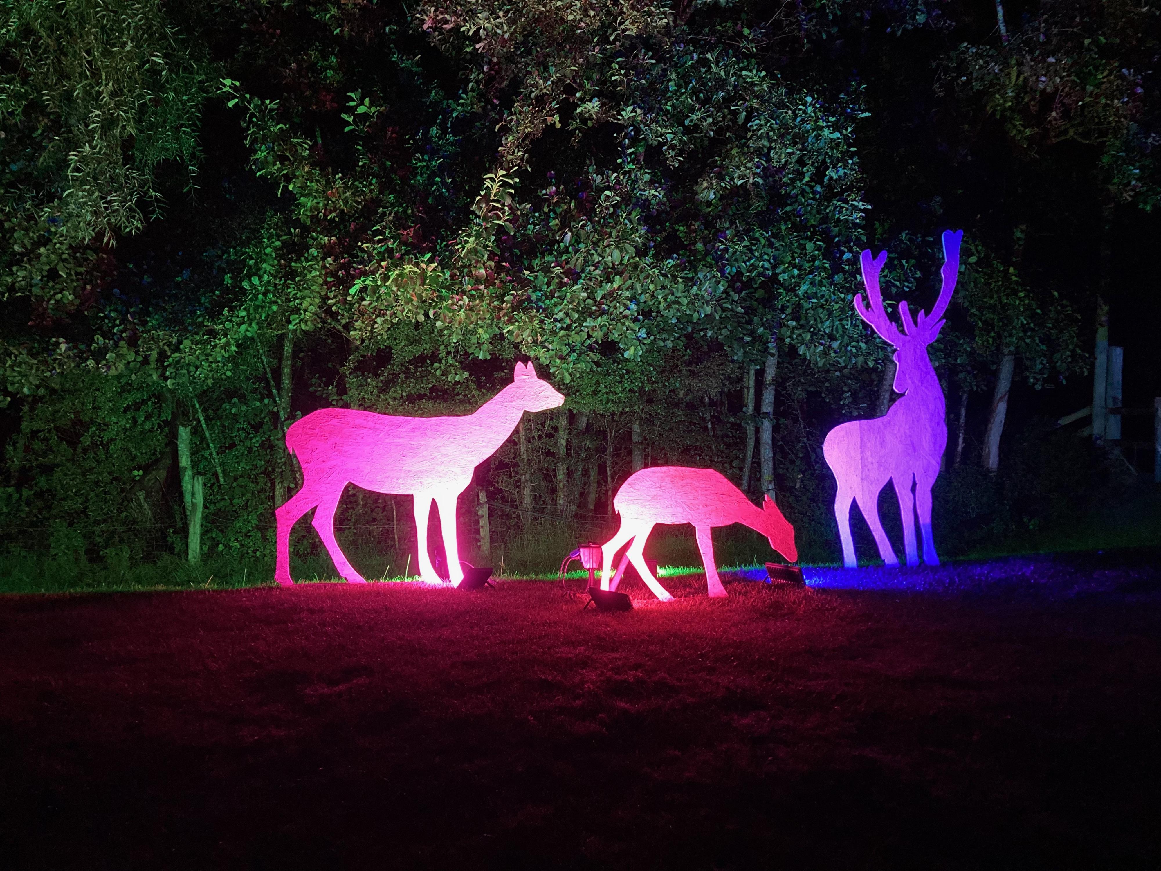 Leuchttiere im Westküstenpark