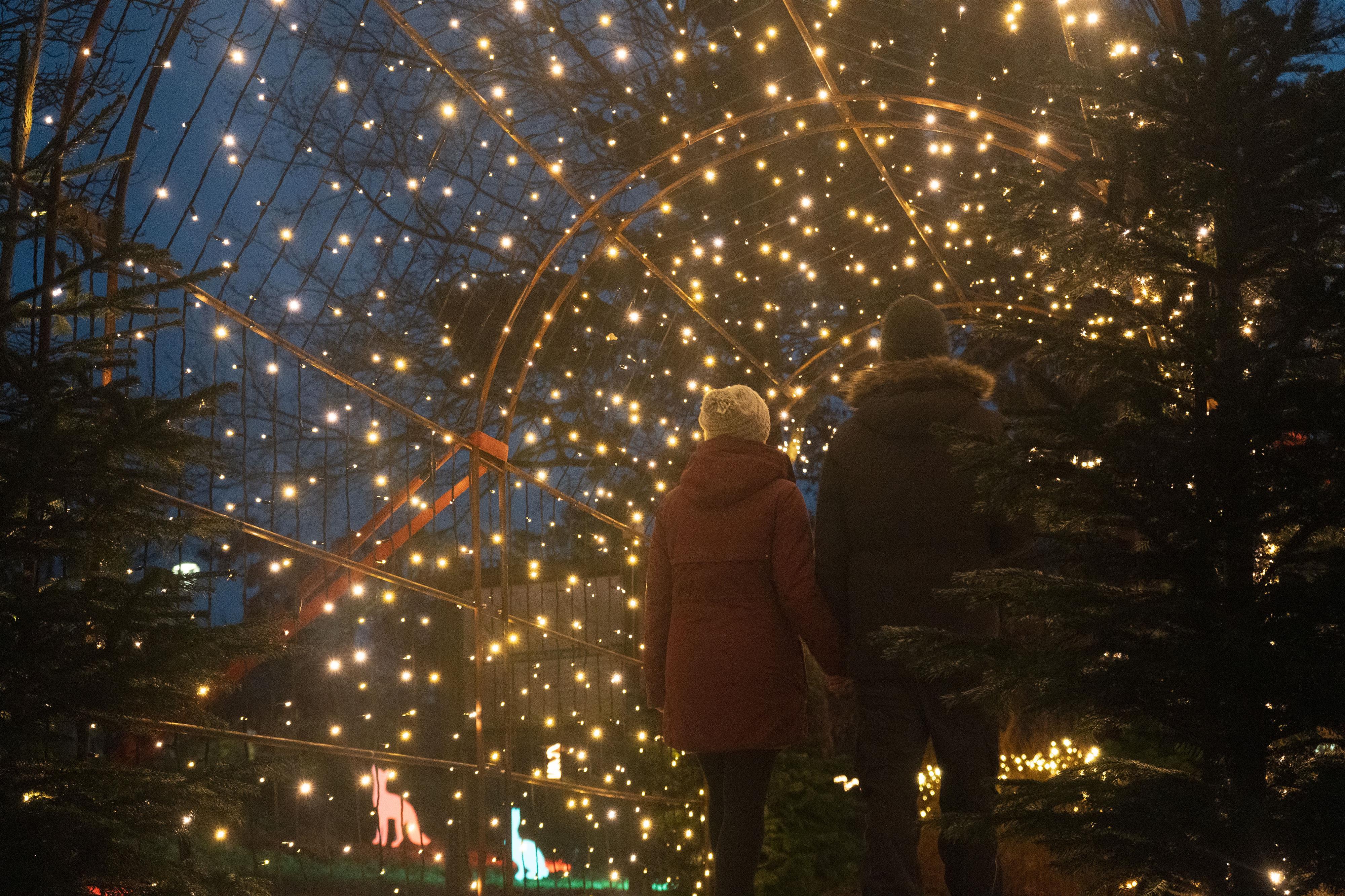 Weihnachtsmarkt_Historische Insel_178