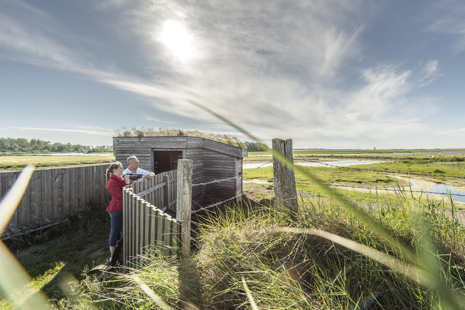Vogelbeobachtungshütten in Tönning